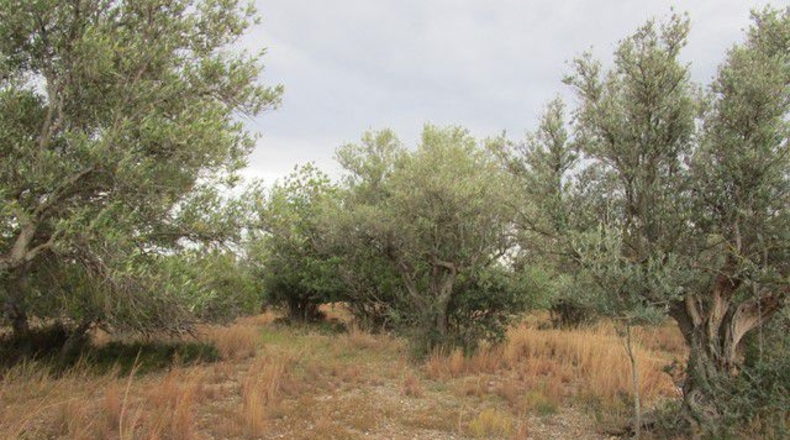Tarragona - Raval de Crist - 13863m2