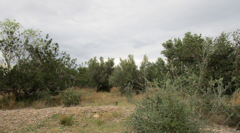 Tarragona - Raval de Crist - 13863m2