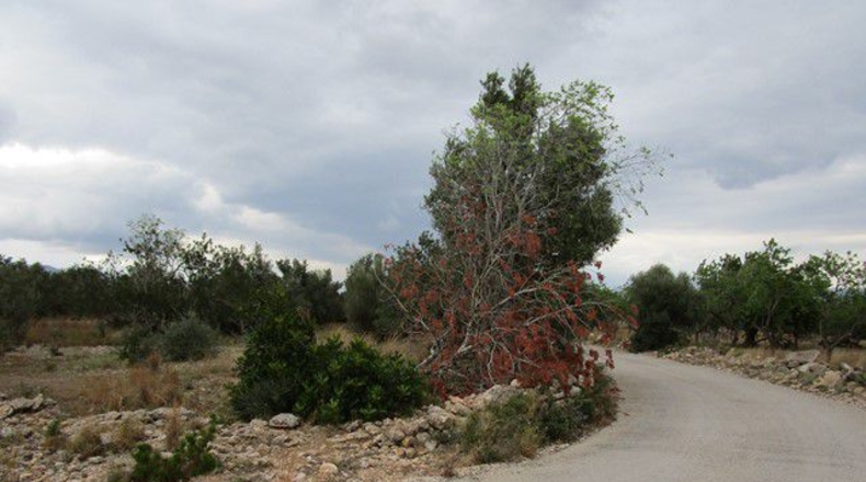 Tarragona - Raval de Crist - 13863m2