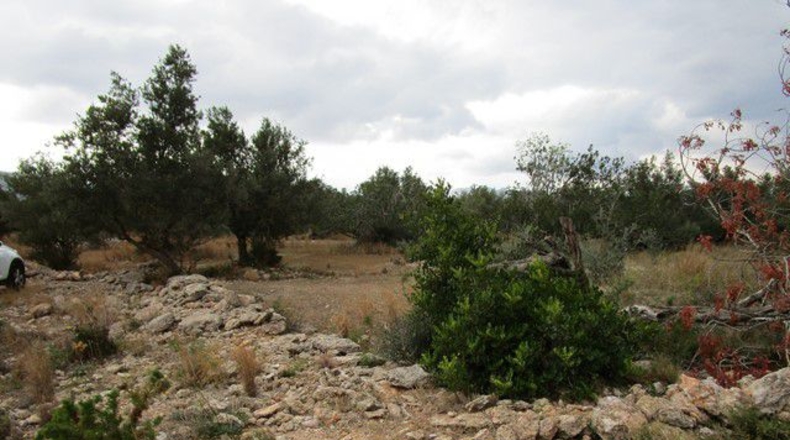 Tarragona - Raval de Crist - 13863m2