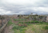 Дом с участком на продажу в городе Tortosa. Фото