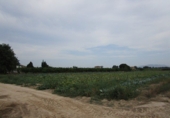 Дом с участком на продажу в городе Tortosa. Фото