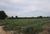 Дом с участком на продажу в городе Tortosa. Фото