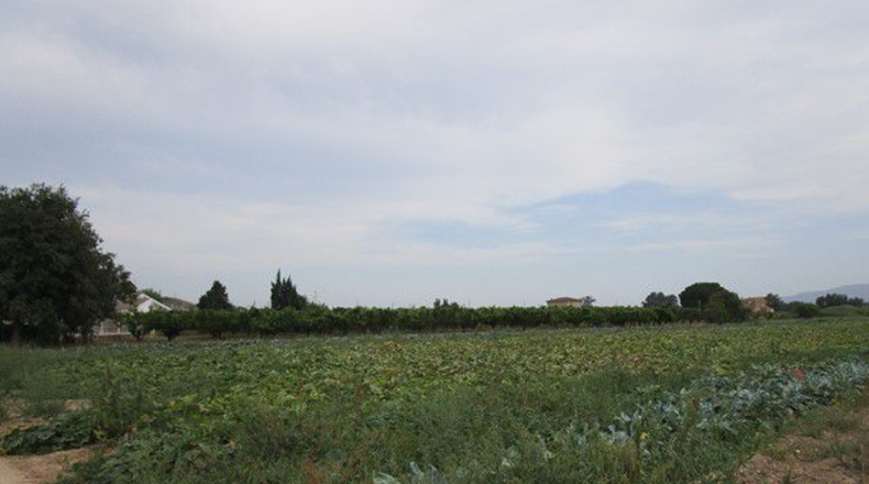 Tarragona - Tortosa - 225m2