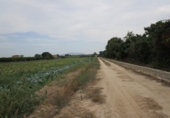 Дом с участком на продажу в городе Tortosa. Фото