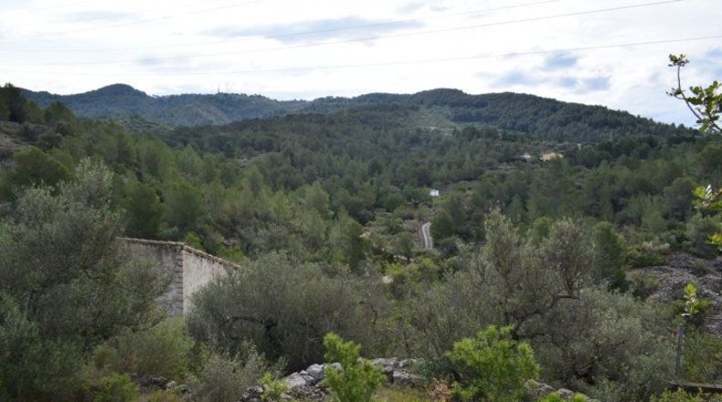 Tarragona - Tortosa - 24514m2