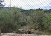 Finca rústica en venta en Tortosa ref: TR36571 foto