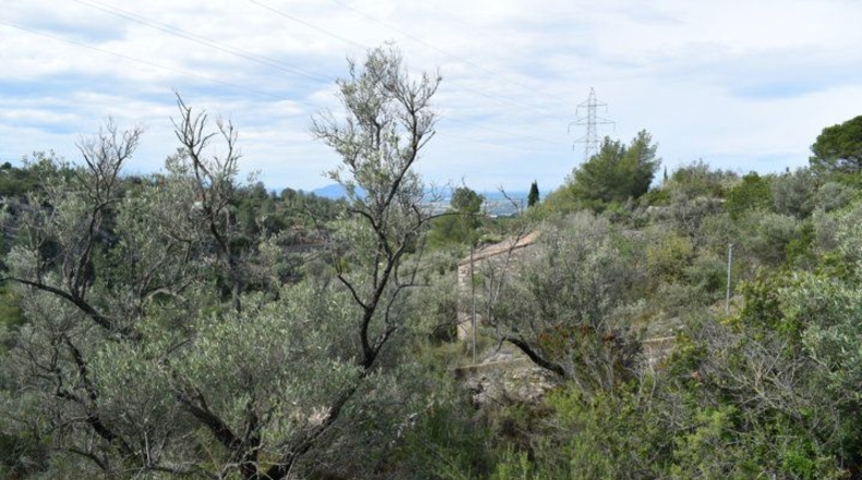Tarragona - Tortosa - 24514m2