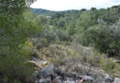 Finca rústica en venta en Tortosa ref: TR36571 foto