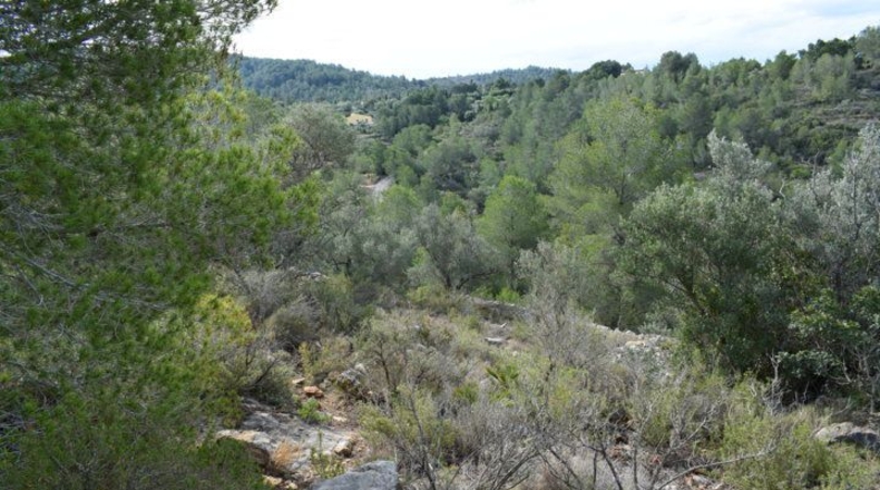 Tarragona - Tortosa - 24514m2