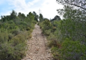 Finca rústica en venta en Tortosa ref: TR36571 foto