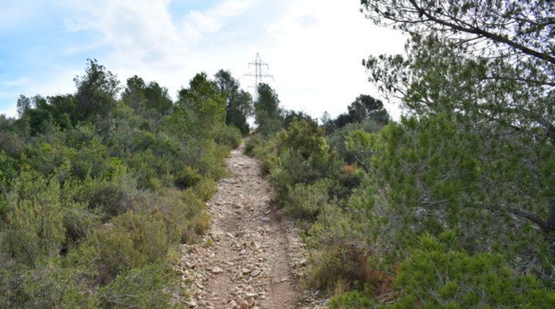 Tarragona - Tortosa - 24514m2