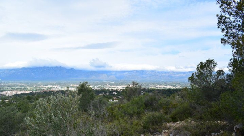 Tarragona - Tortosa - 24514m2