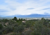 Finca rústica en venta en Tortosa ref: TR36571 foto