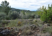 Finca rústica en venta en Tortosa ref: TR36571 foto