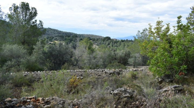 Tarragona - Tortosa - 24514m2
