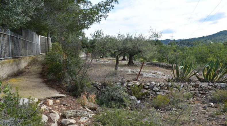 Tarragona - Tortosa - 24514m2