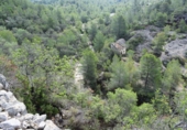 Finca rústica en venta en Tortosa ref: TR36571 foto