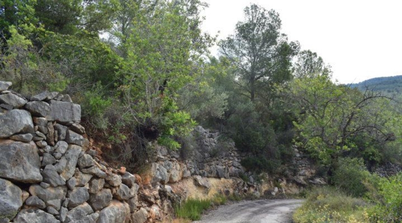 Tarragona - Tortosa - 24514m2