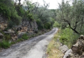 Finca rústica en venta en Tortosa ref: TR36571 foto