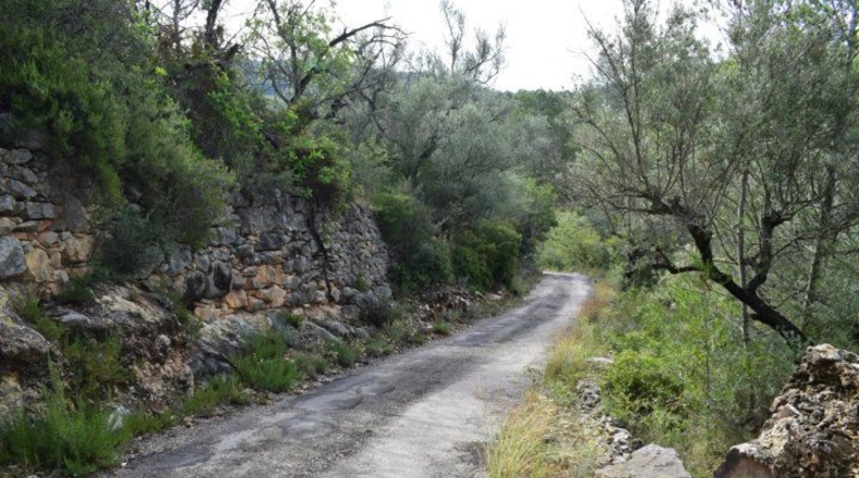 Tarragona - Tortosa - 24514m2