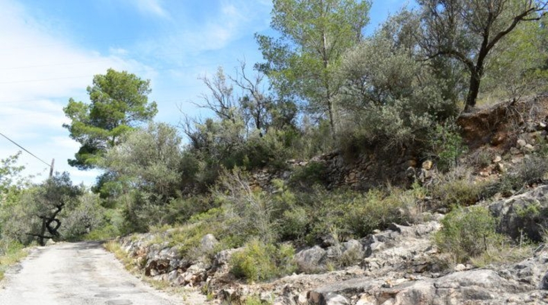 Tarragona - Tortosa - 24514m2