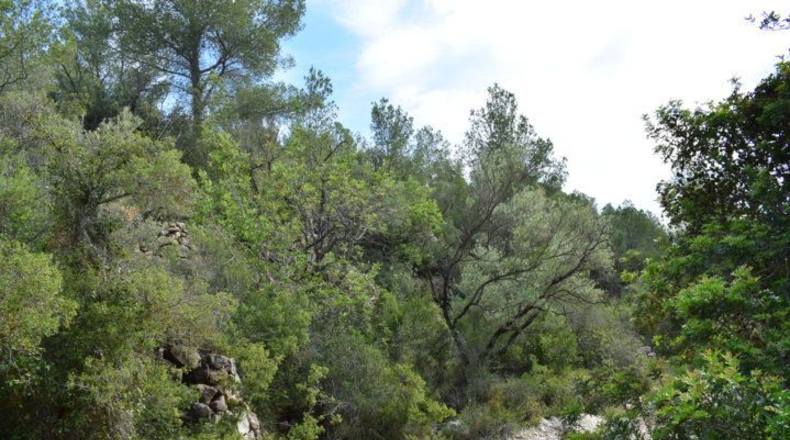 Tarragona - Tortosa - 24514m2