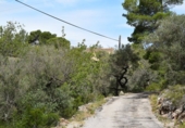Finca rústica en venta en Tortosa ref: TR36571 foto
