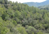 Finca rústica en venta en Tortosa ref: TR36571 foto