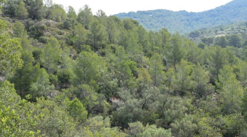 Tarragona - Tortosa - 24514m2