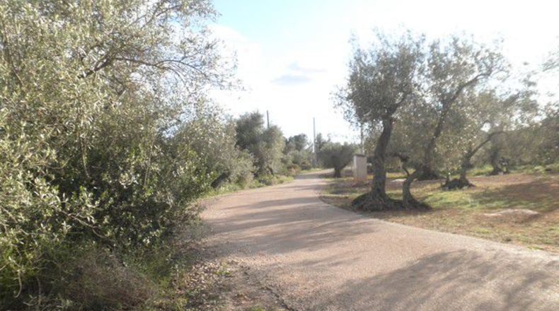 Tarragona - Aldover - 10452m2
