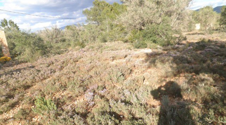 Tarragona - Aldover - 10452m2