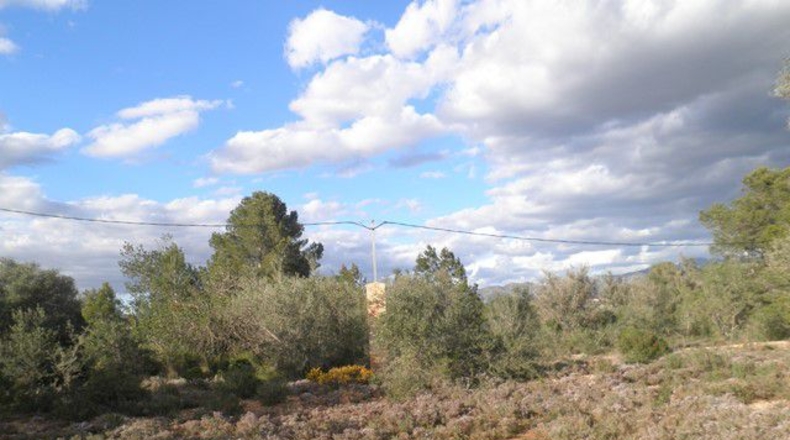 Tarragona - Aldover - 10452m2