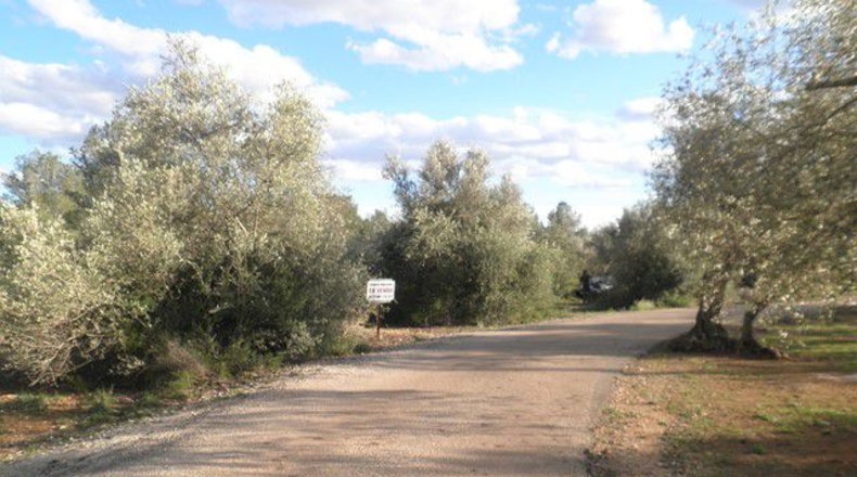 Tarragona - Aldover - 10452m2