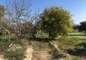 Земельный участок на продажу в городе Tortosa. Фото