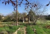 Земельный участок на продажу в городе Tortosa. Фото