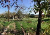Земельный участок на продажу в городе Tortosa. Фото