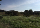 Земельный участок на продажу в городе Tortosa. Фото