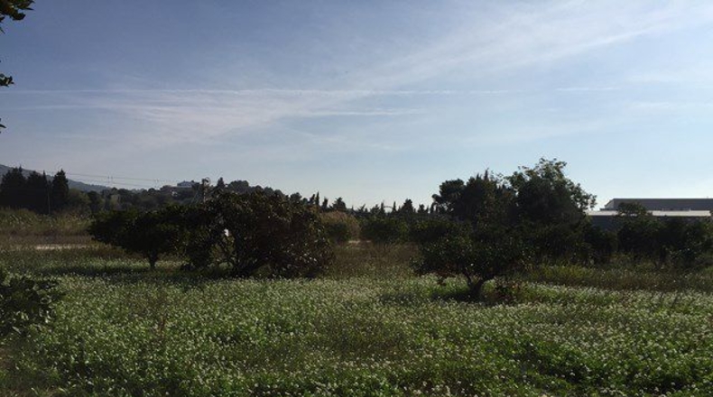 Tarragona - Tortosa - 5605m2