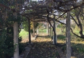 Земельный участок на продажу в городе Tortosa. Фото