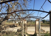 Земельный участок на продажу в городе Tortosa. Фото