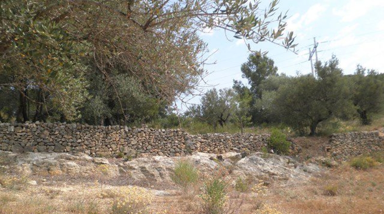 Tarragona - Tortosa - 444844m2
