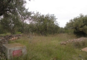 Parcela urbanizable en venta en Tortosa ref: TR54171 foto