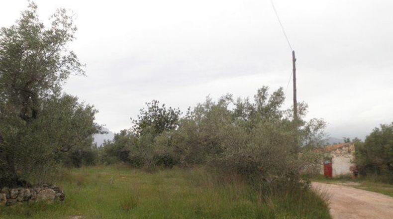 Tarragona - els Reguers - 7700m2