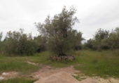 Parcela urbanizable en venta en Tortosa ref: TR54171 foto