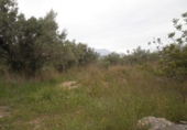 Parcela urbanizable en venta en Tortosa ref: TR54171 foto