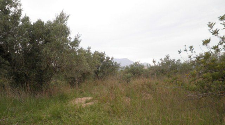 Tarragona - els Reguers - 7700m2