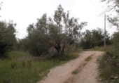 Parcela urbanizable en venta en Tortosa ref: TR54171 foto