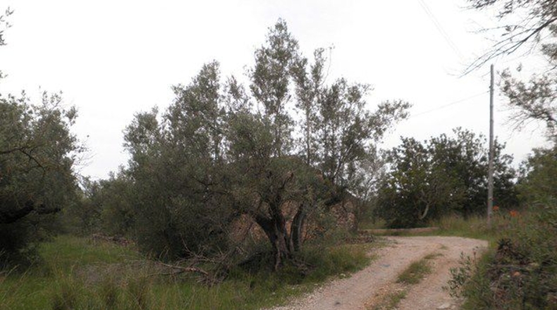 Tarragona - els Reguers - 7700m2