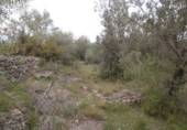 Parcela urbanizable en venta en Tortosa ref: TR54171 foto